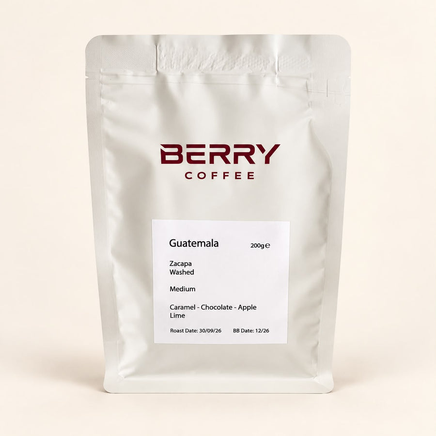 Guatemala Zacapa — Specialty Coffee Beans (200g)